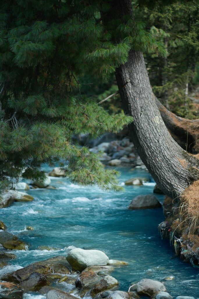 Free stock photo of imadclicks, jammu and kashmir, kashmir